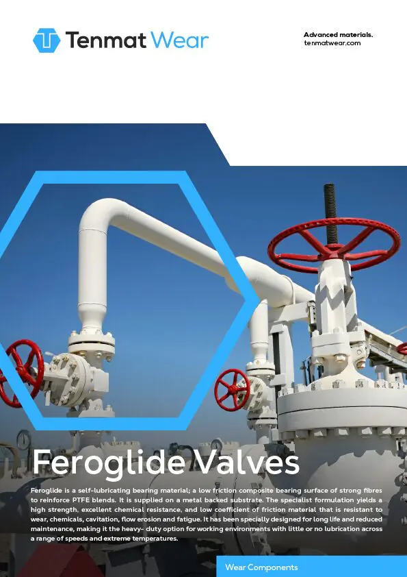 White industrial valves and pipes against a blue sky, with “Feroglide Valves” text overlay.