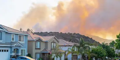 Smoke from a wildfire rises behind a suburban neighborhood with houses and palm trees.