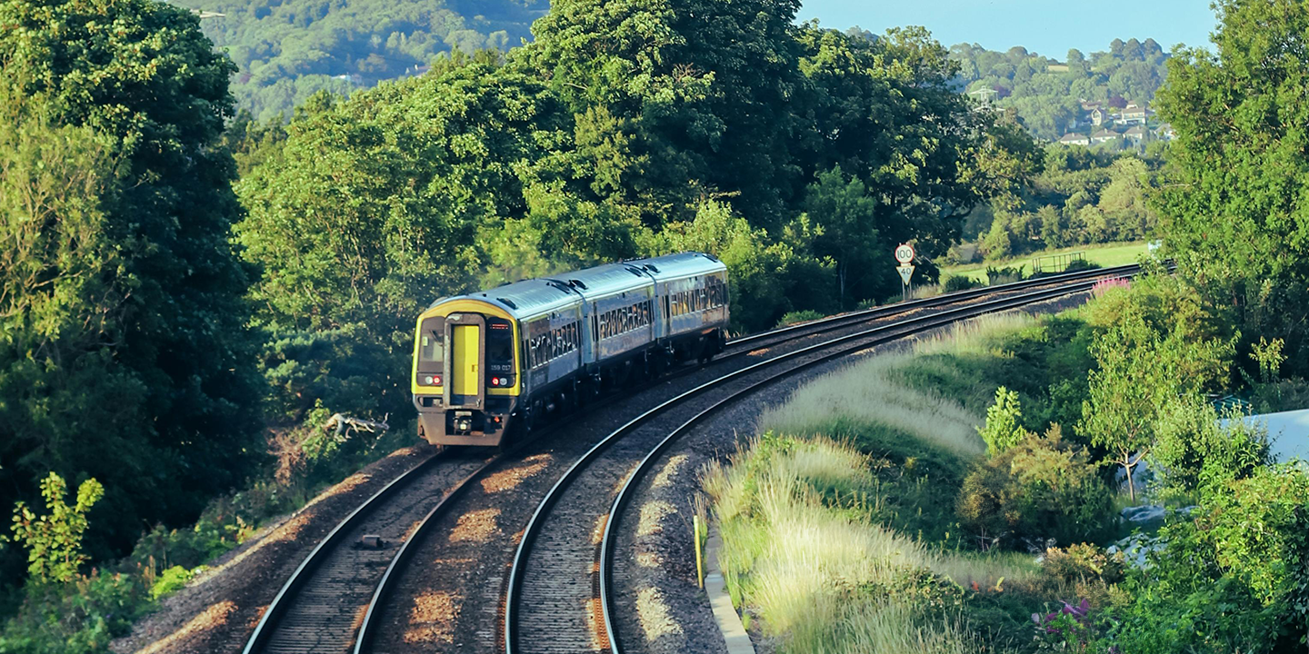 A passenger train travels along a curved track surrounded by lush green trees and foliage.